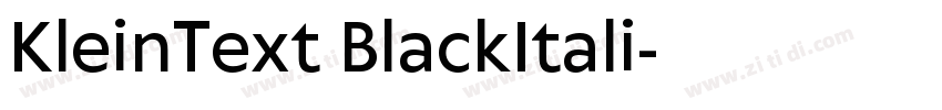 KleinText BlackItali字体转换